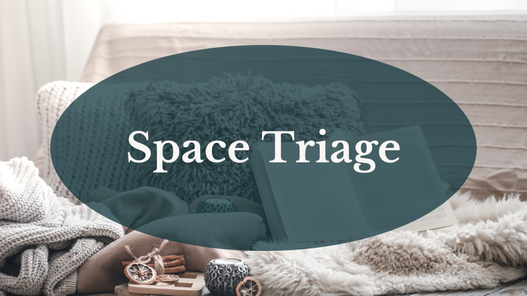 Space Triage Banner Space Triage