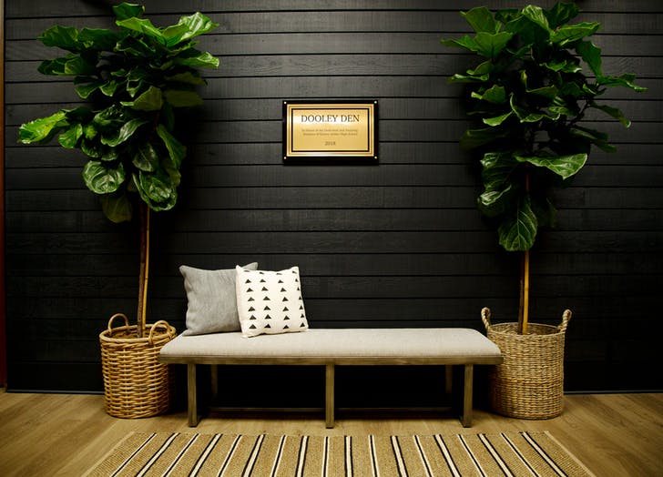 Fiddle Leaf Fig Trees In A Dark Rook