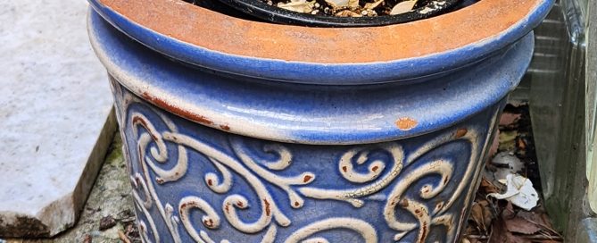 How to Make Decisions - 2 - Practical Sanctuary