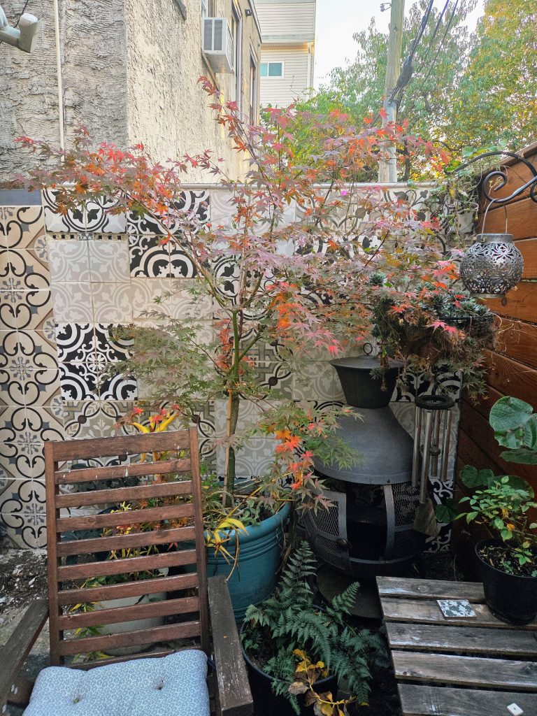 Patchwork tile wall, Japanese maple with orange leaves, wind chime, outdoor fireplace, wooden patio furniture, container garden
