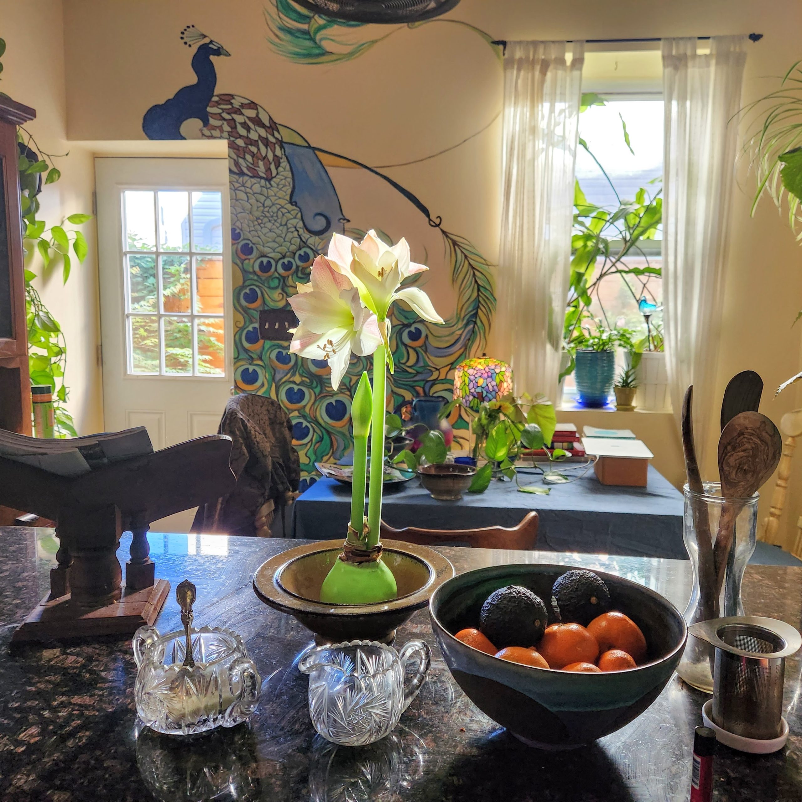 Amaryllis Kitchen Kitchen with a blooming amaryllis, peacock mural, windows onto a sunny patio with plants, bowl of fruit