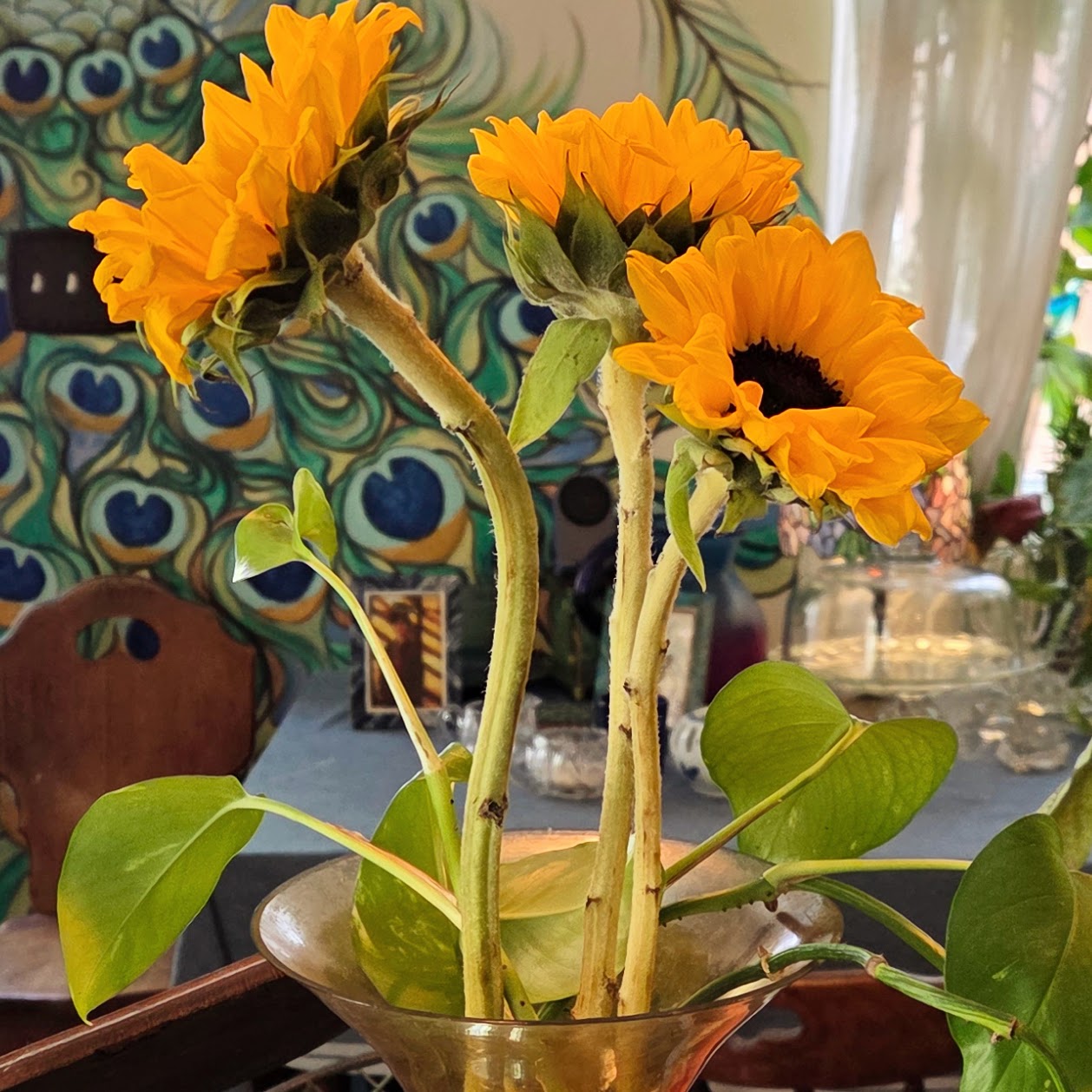 SunflowerSquare