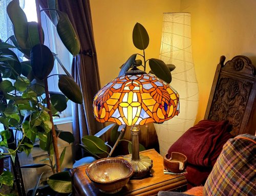 How Circadian Lighting Feeds the Teenage Brain